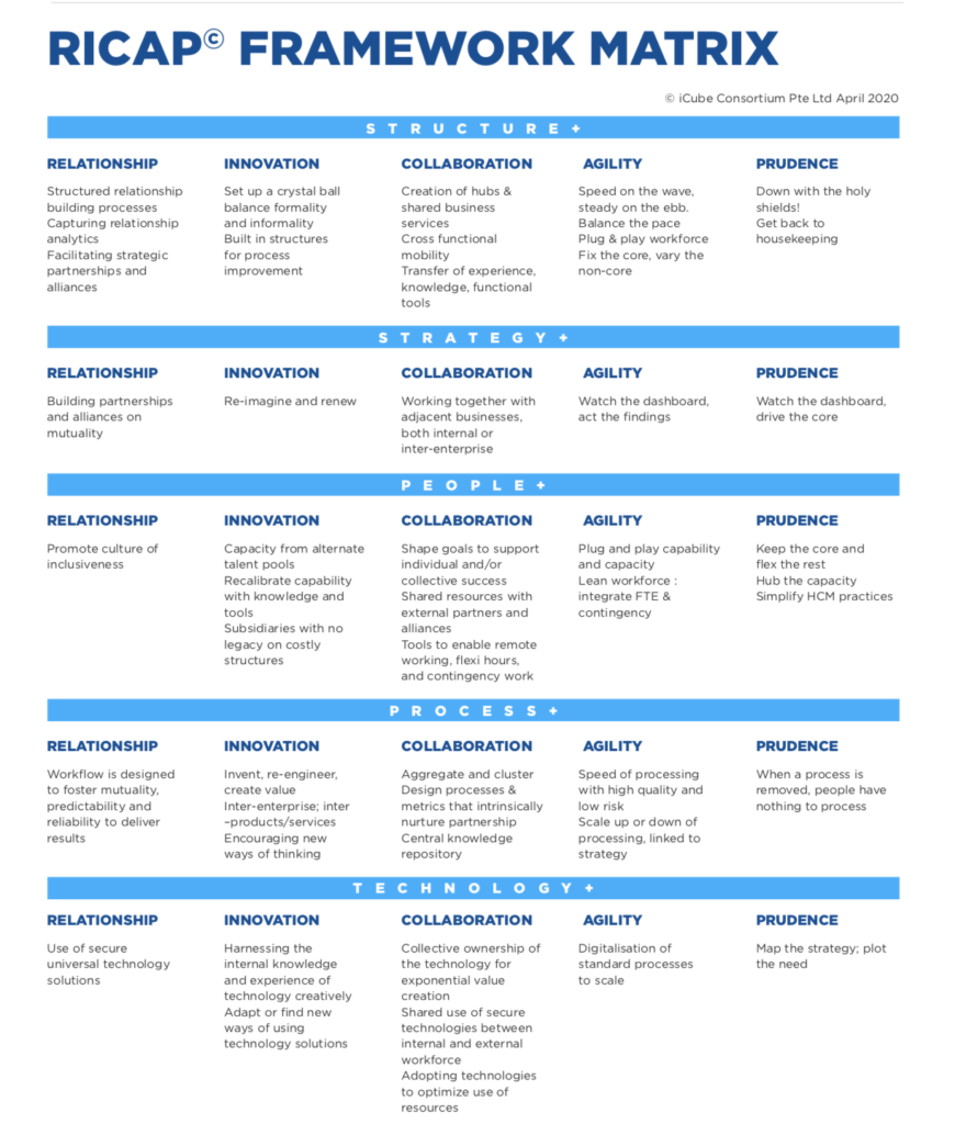 Ricap Framework Matrix