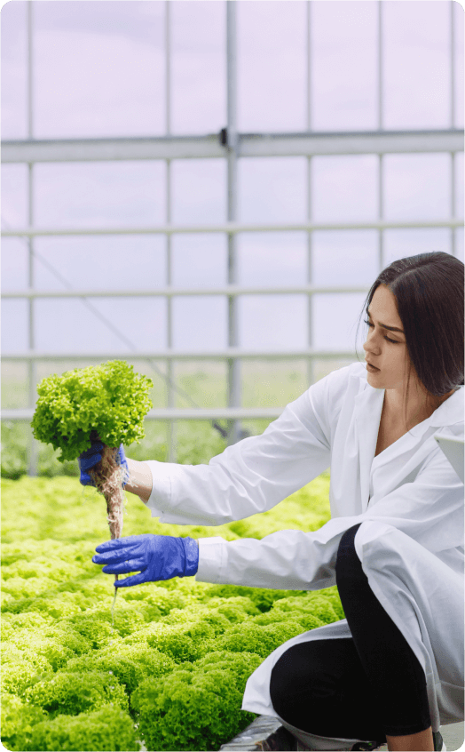 eco health image